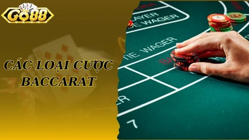 Các loại cược nổi bật trong Baccarat Go88