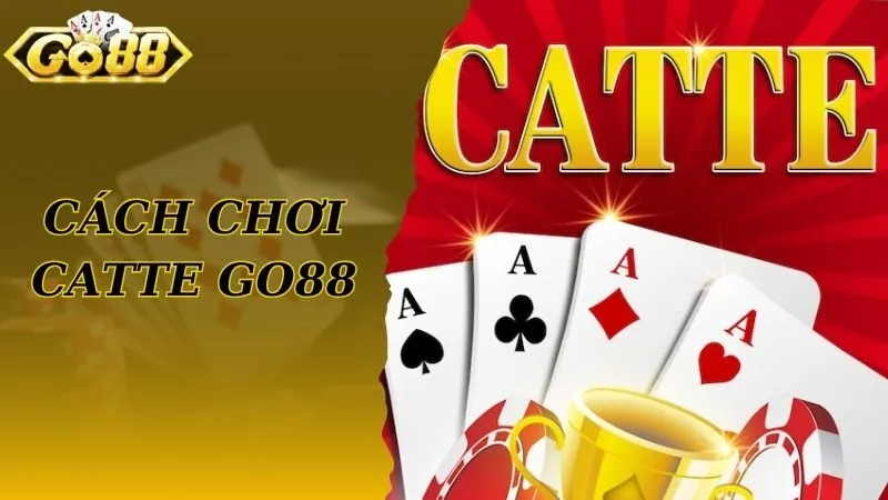 Giới thiệu về cách chơi Catte hiệu quả
