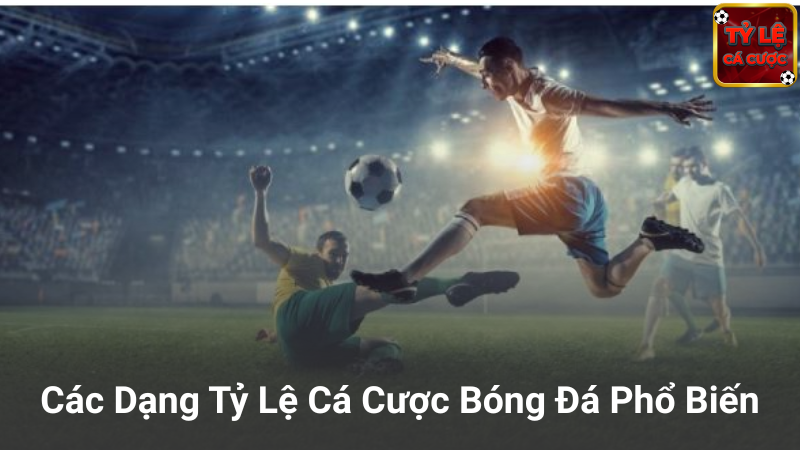 Các loại tỷ lệ cá cược bóng đá phổ biến nhất