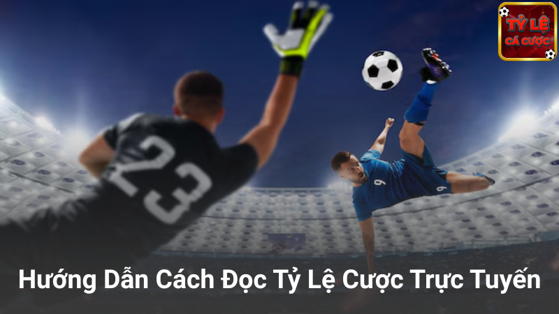Cách đọc và tính tiền tỷ lệ cá cược bóng đá